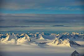 Devils Paw Alaska Devils Paw Alaska