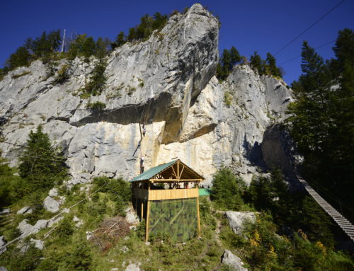 Halbtägiges Klettersteigtraining Bad Goisern